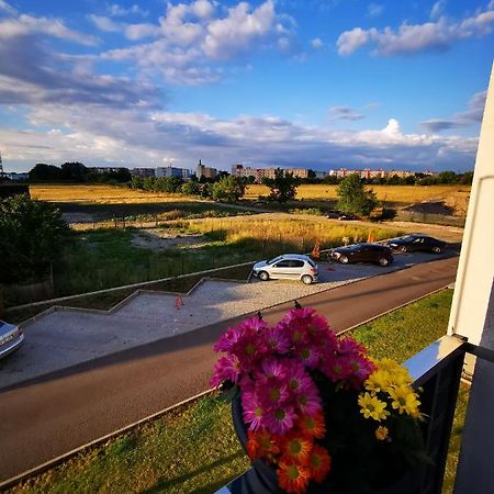 Teo Apartment Braşov Esterno foto