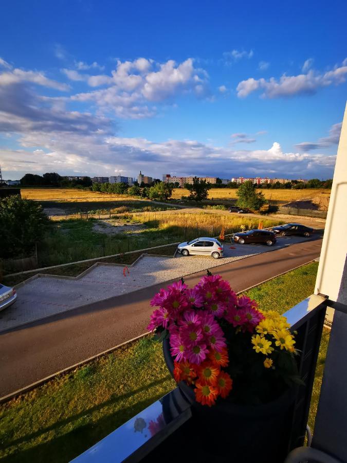Teo Apartment Braşov Esterno foto